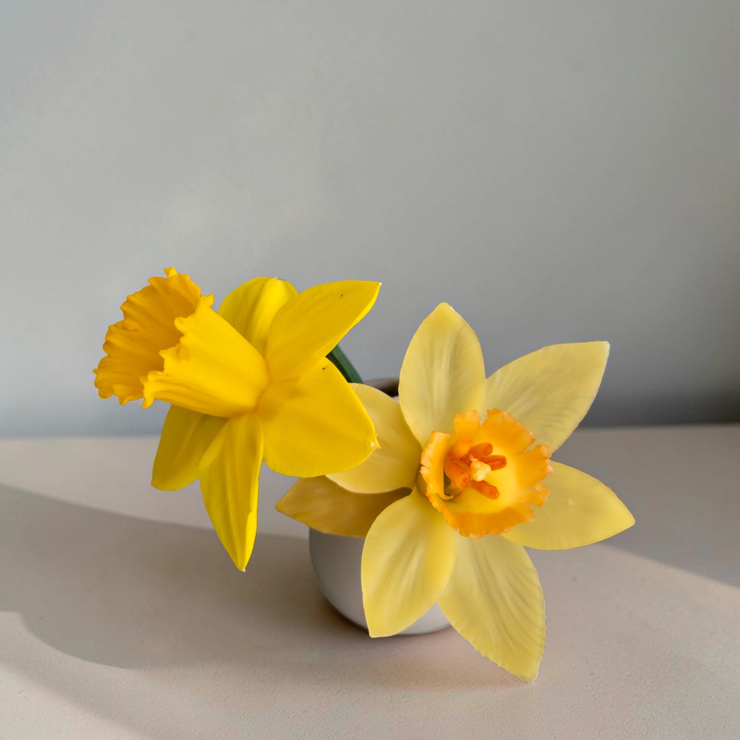 Foremki do wosku narcyz - obrazek 8